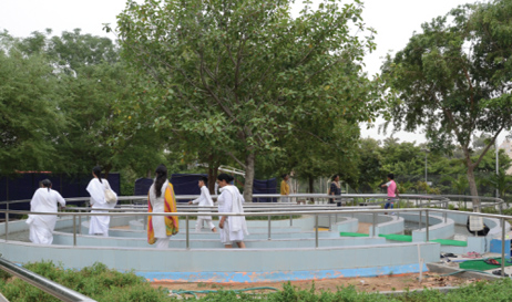 Gardens 4 - brahma kumaris | official
