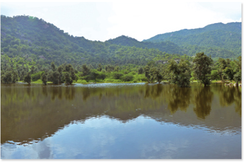 Environment Initiatives 40 water 2