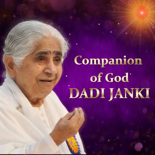 Dadi janki cod