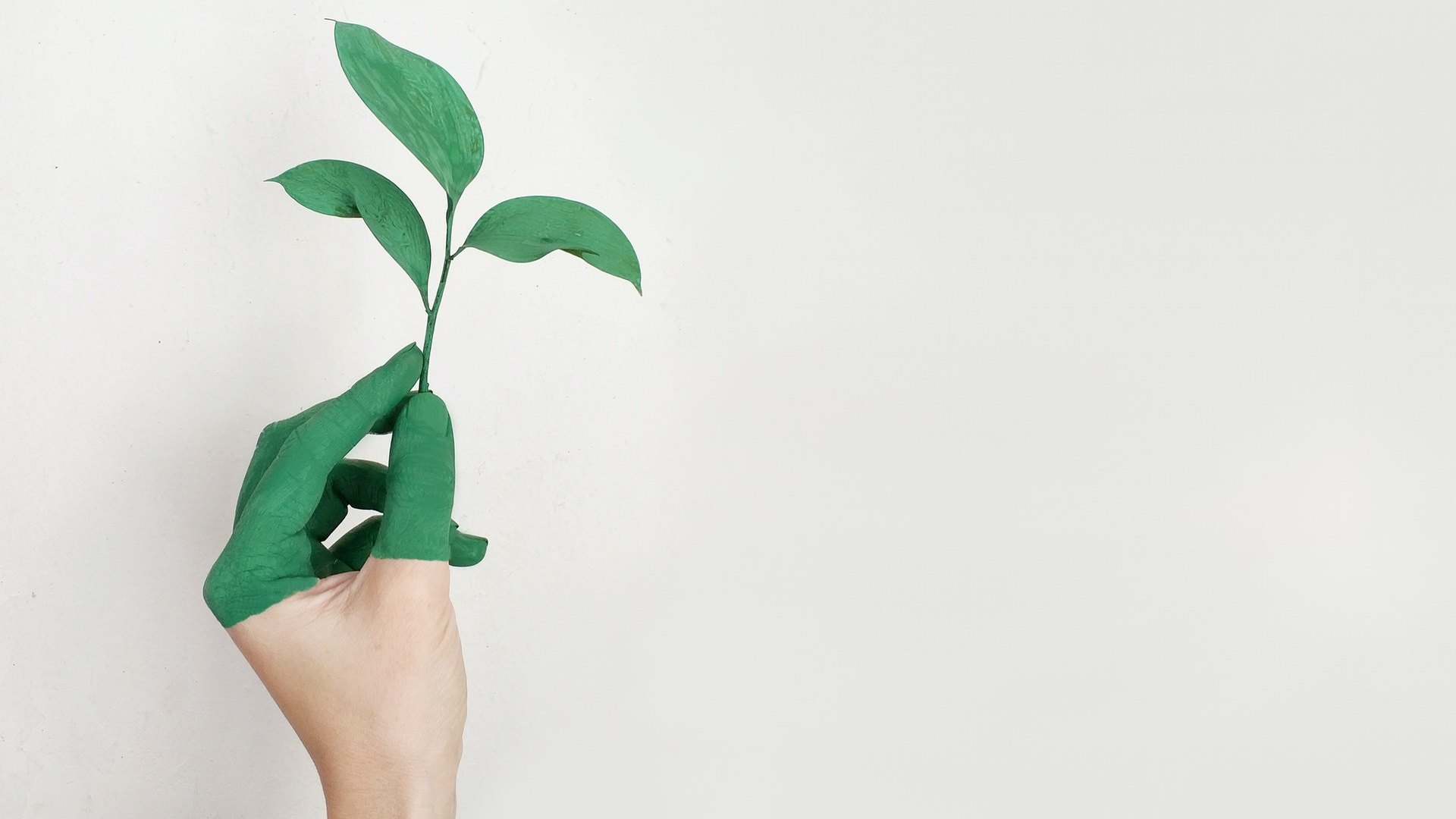 Plant more trees to save ourselves - brahma kumaris | official