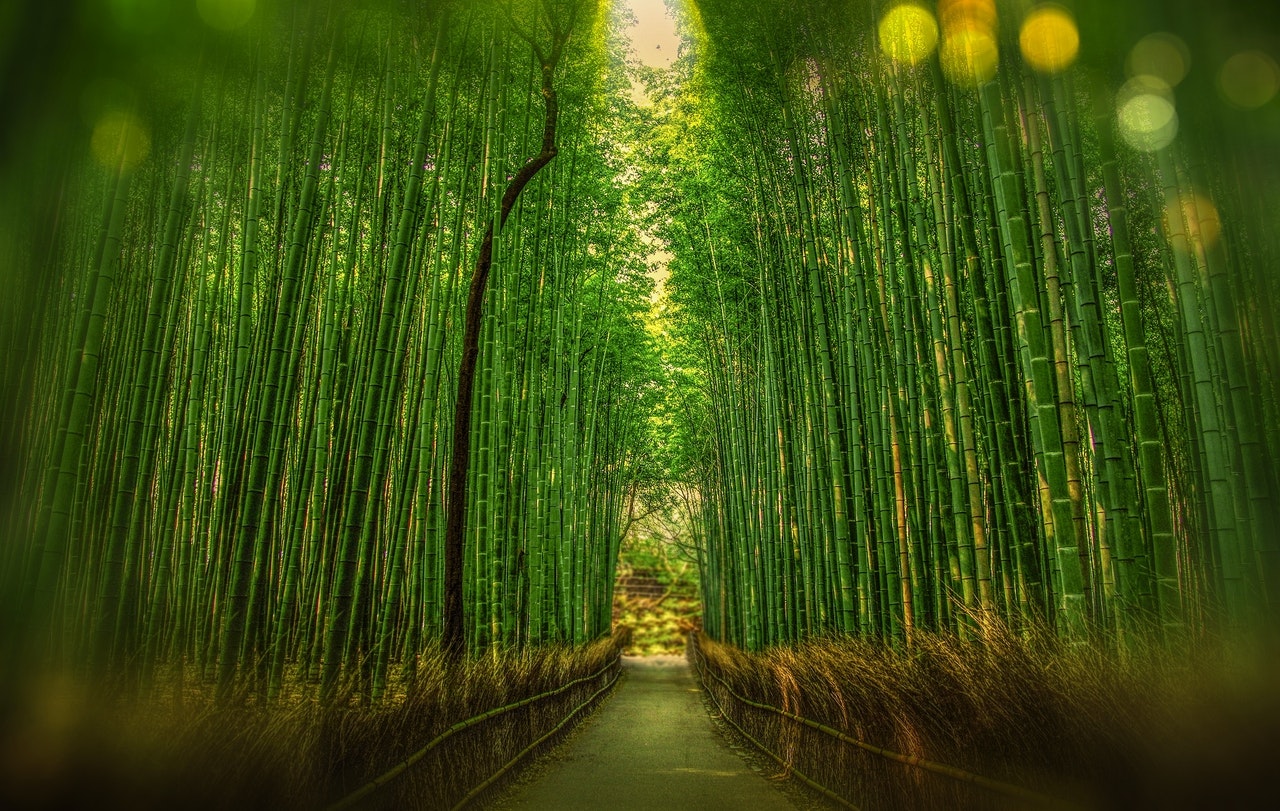 The Secret To Strength And Greatness Think Speak Less » Brahma Kumaris | Official