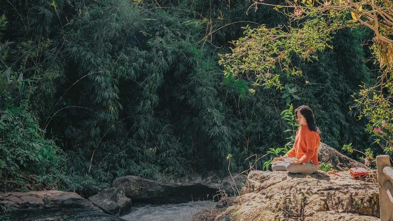 The way to live in harmony with nature - brahma kumaris | official