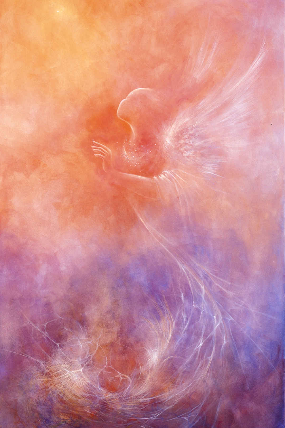 Angel - 26