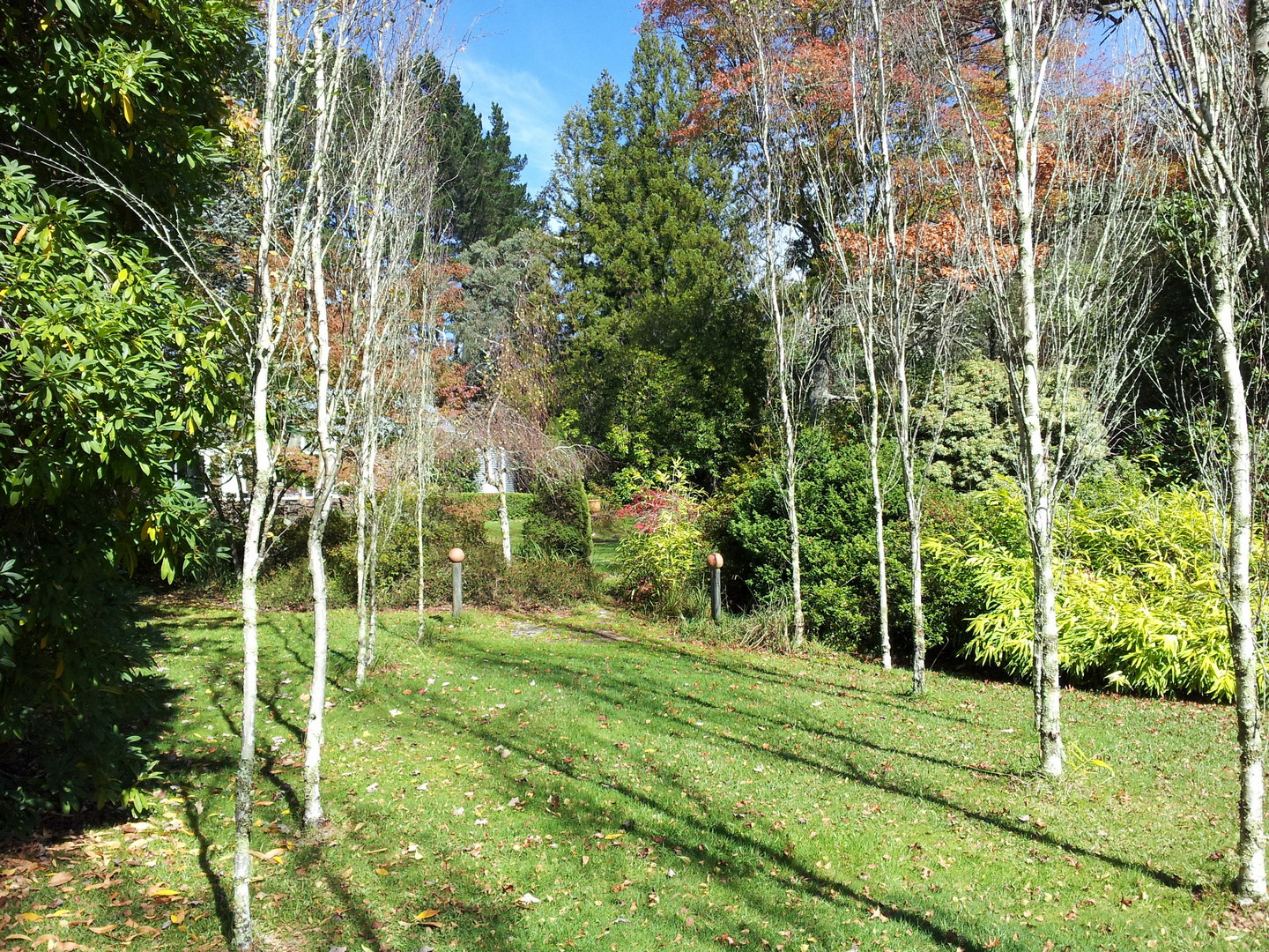 Brahma kumaris blue mountains, australia (22)