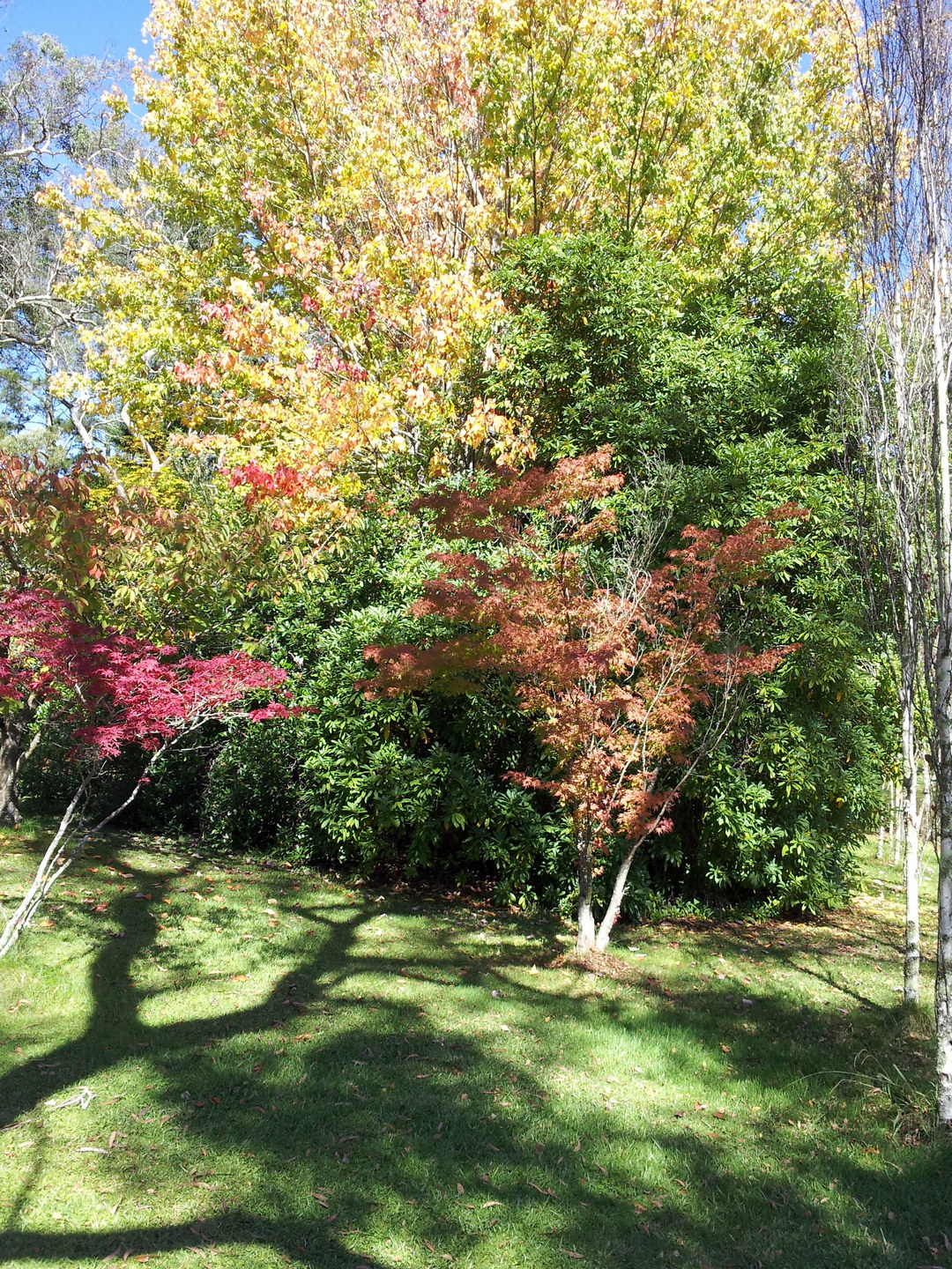 Brahma kumaris blue mountains, australia (21)