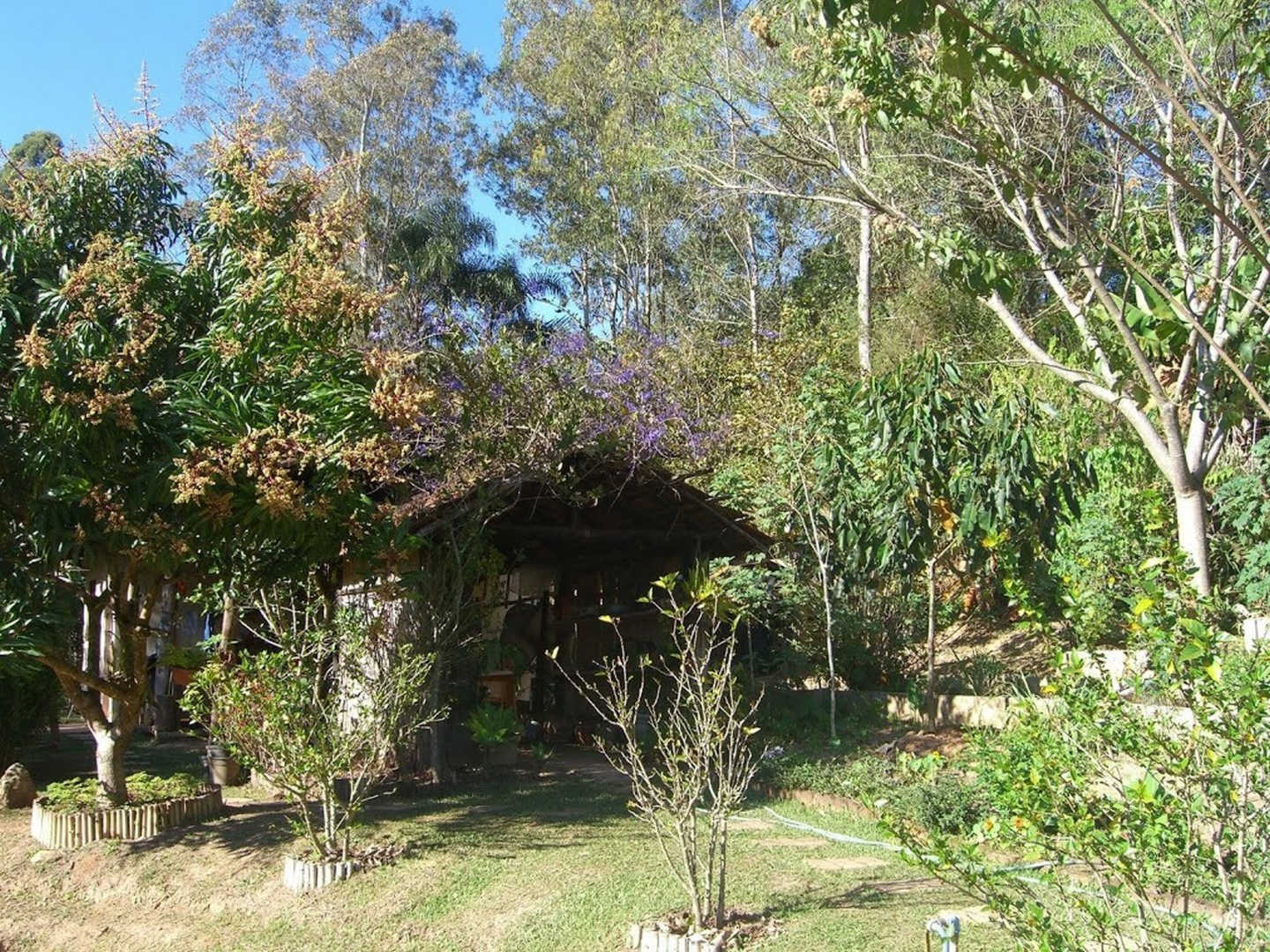 Brahma kumaris sri negra brazil 19