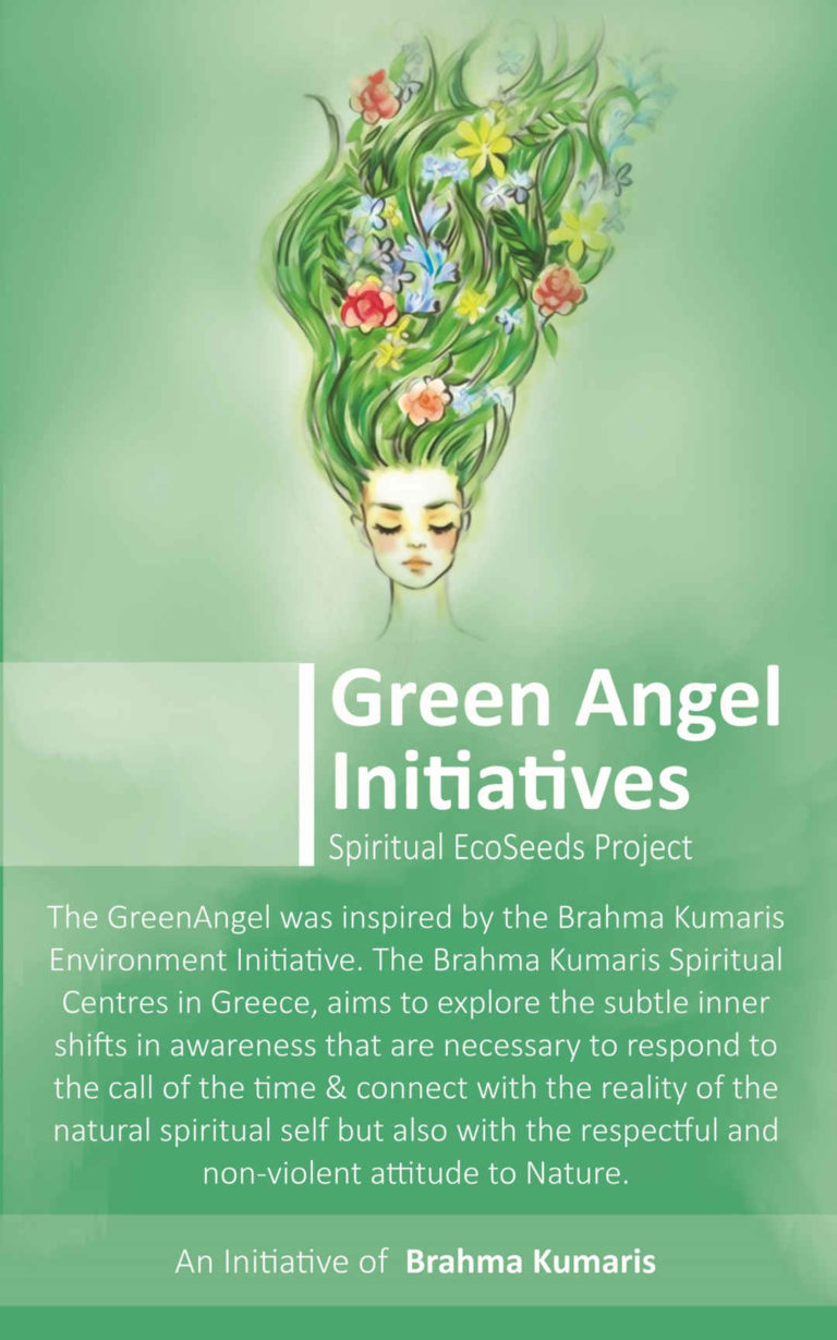 Green Angel Initiatives