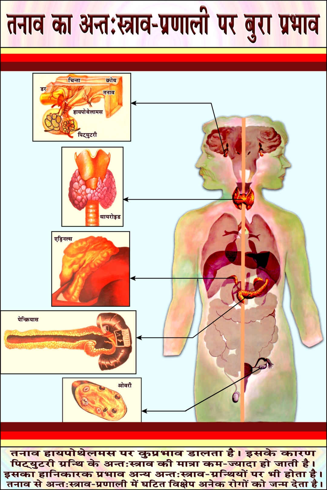 Medical Wing Exhibition (Hindi) - 5
