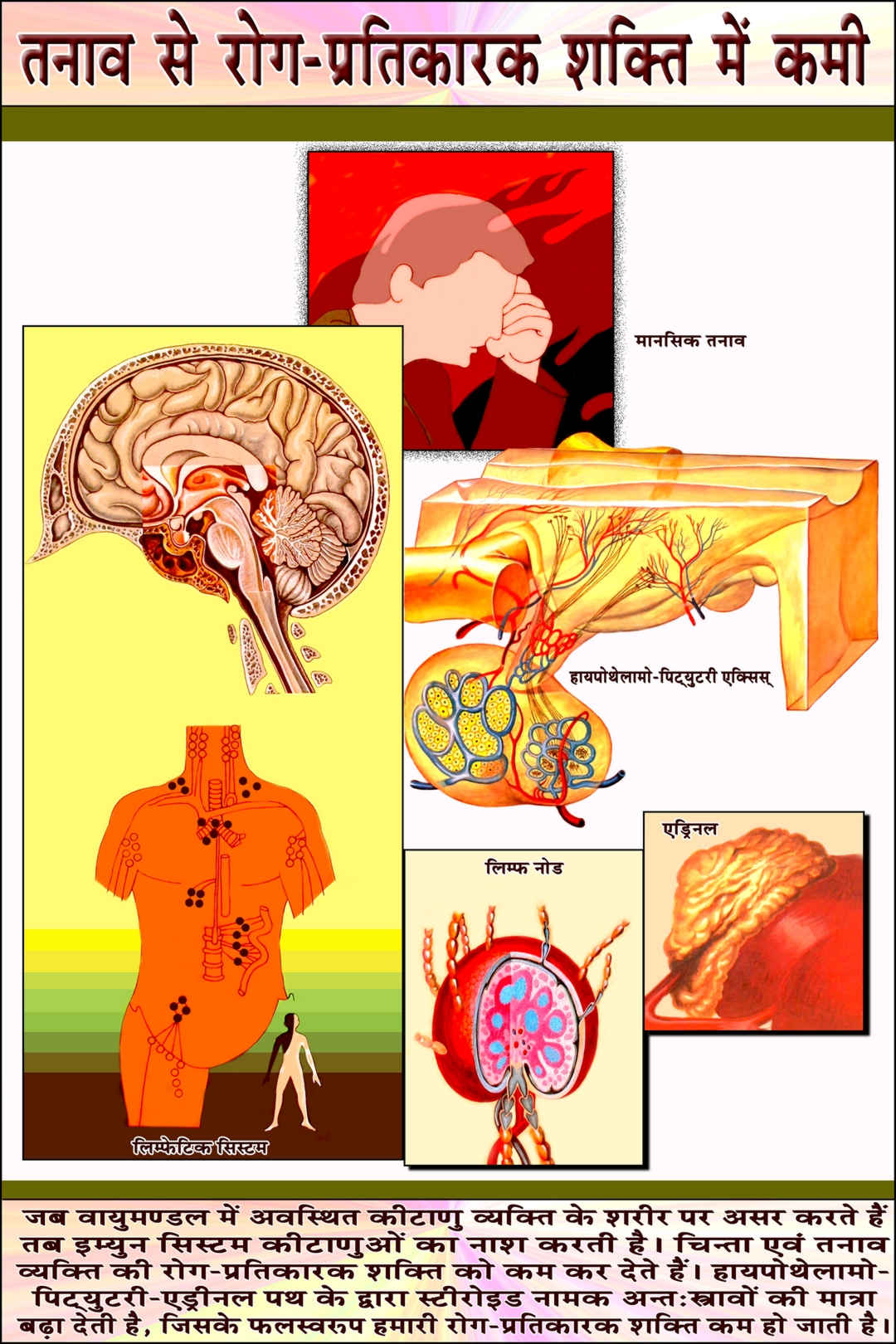 Medical Wing Exhibition (Hindi) - 7