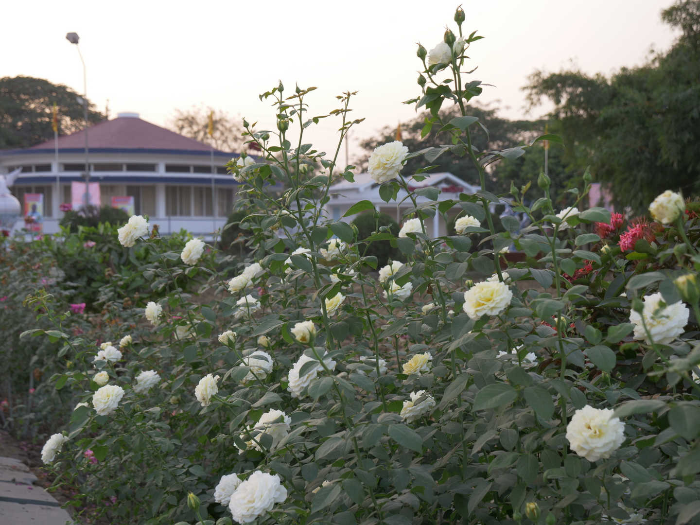 BrahmaKumaris Shanti Sarovar Raipur - 9