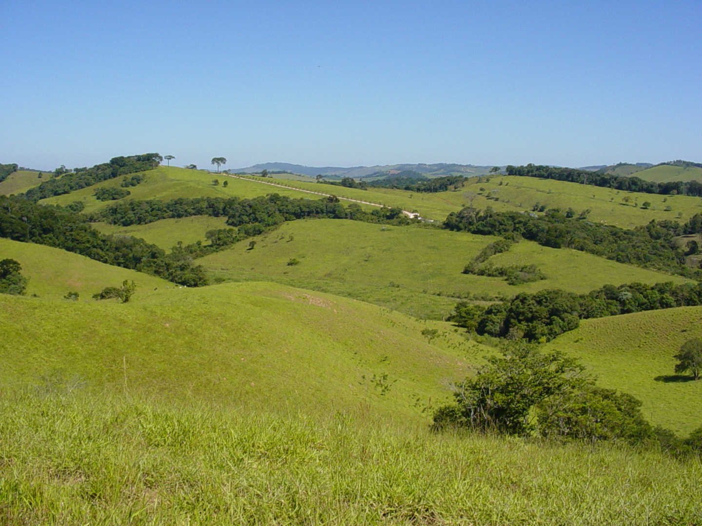 Brahma kumaris sri negra brazil 21