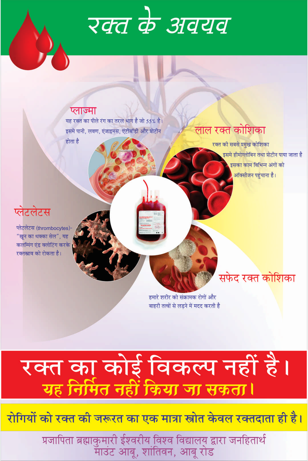 Blood Donation Exhibition - 4