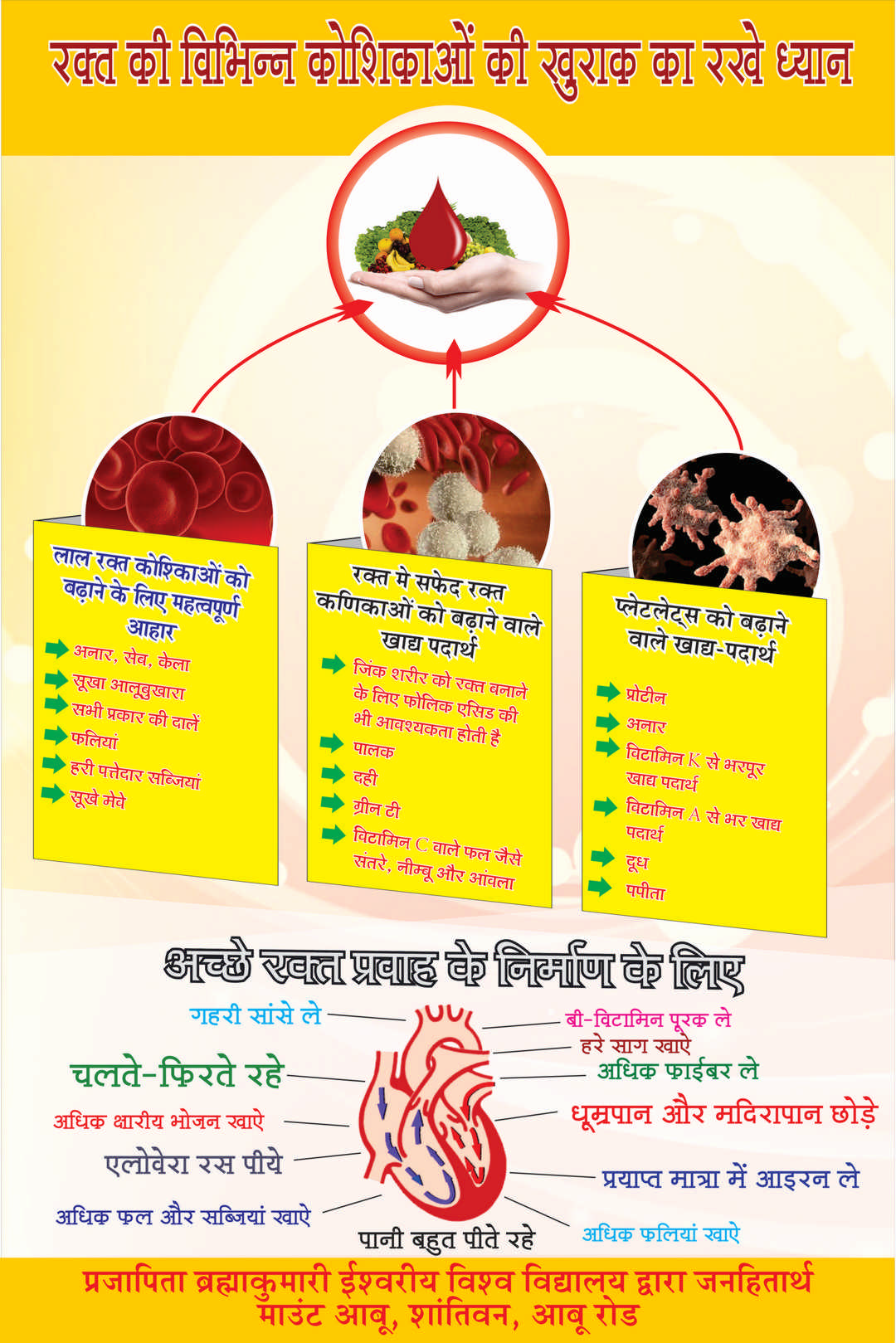 Blood Donation Exhibition - 6
