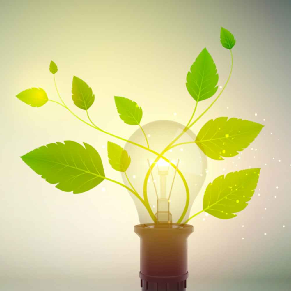 Activities 11 brahma kumaris | official Value education - brahma kumaris | official