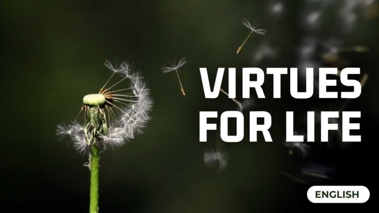 Virtues for Life » Brahma Kumaris | Official