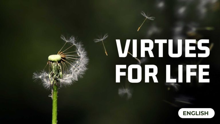 Virtues for life