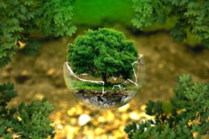Environmental protection 326923 1280 how n why - brahma kumaris | official