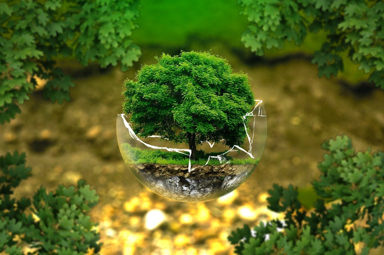 Environmental protection 326923 1280 how n why - brahma kumaris | official