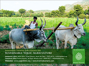 Yogi in agriculture