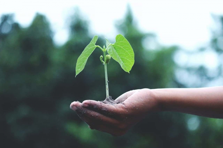 The Importance of Water Conservation: Protecting Our Most Valuable Resource 3 Ethics And sustainability