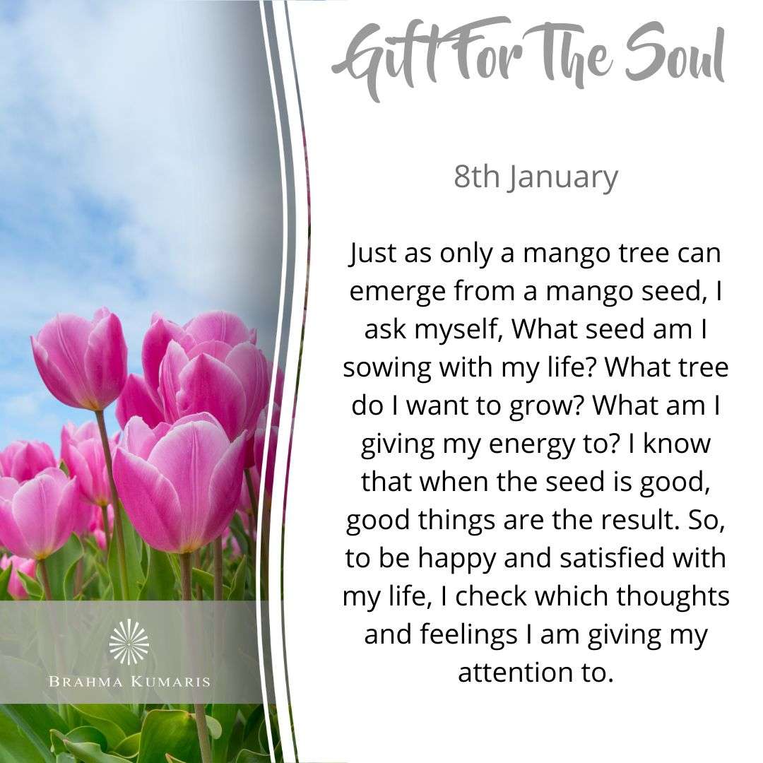 Gift for soul 080122