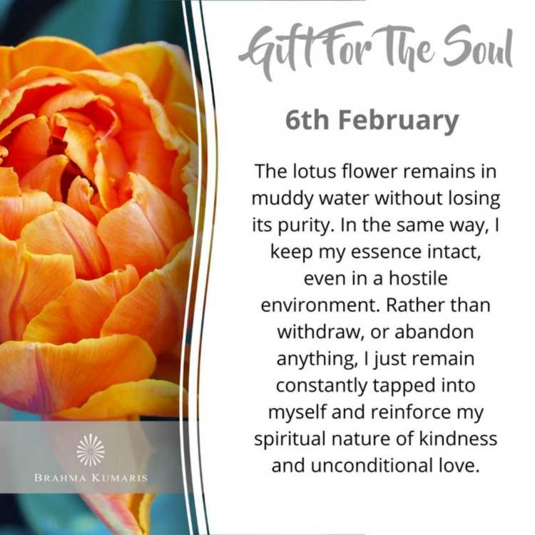 Gift-for-soul-060222