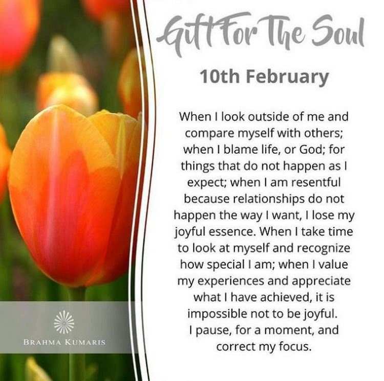 Gift for soul 100222