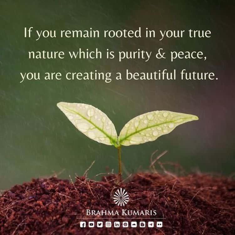 Thought for today 170222