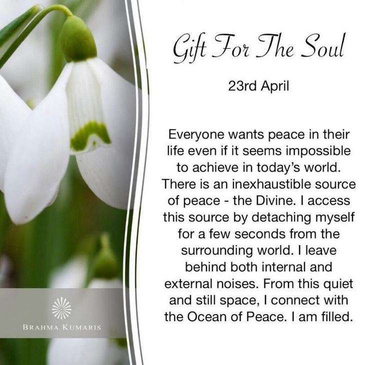 23rd april gift for soul