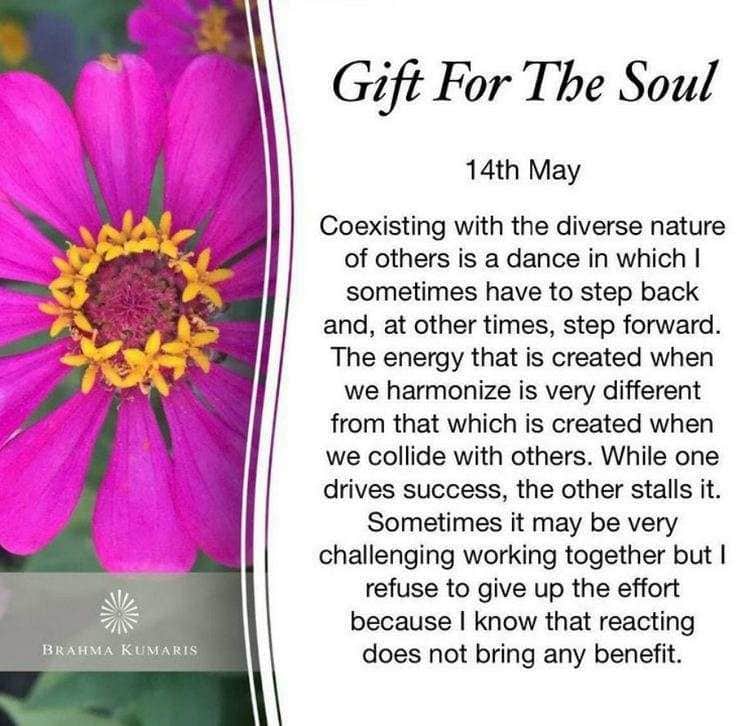 14th may gift for soul
