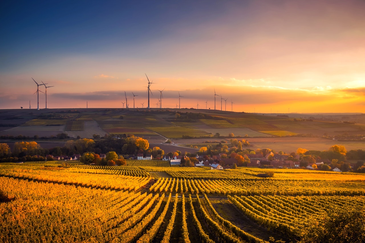 Balancing love and law for sustainability 1 brahma kumaris | official Law for sustainability