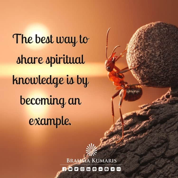 Thought for today 110522