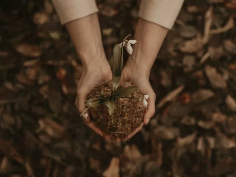 Pexels flora westbrook 1974381 - brahma kumaris | official