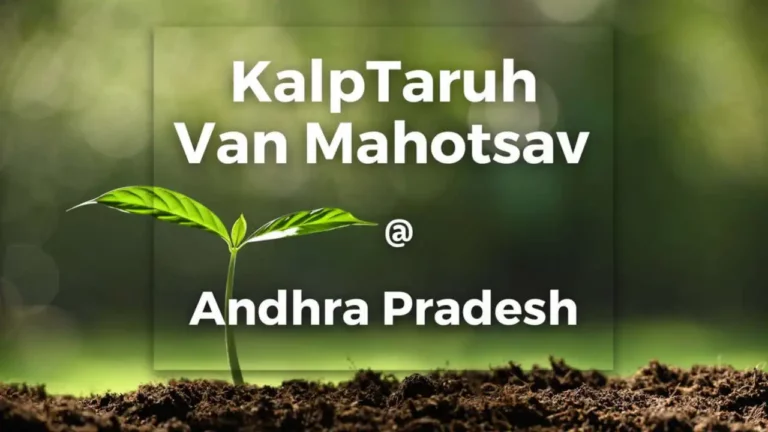Vanmahotsav 02 result - brahma kumaris | official