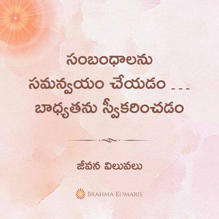 30th jan soul sustenance telugu