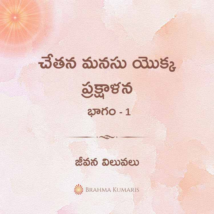 15th feb soul sustenance telugu