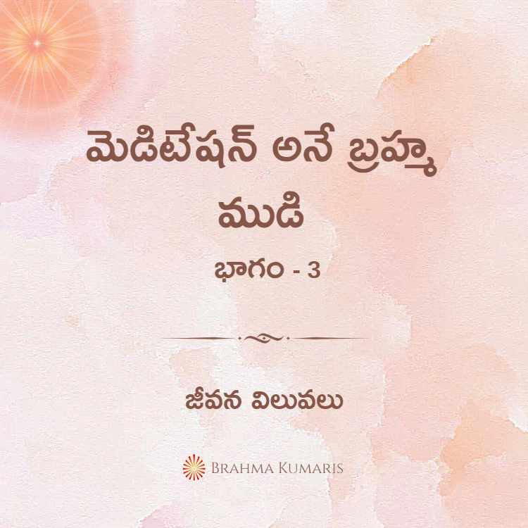 3rd feb soul sustenance telugu