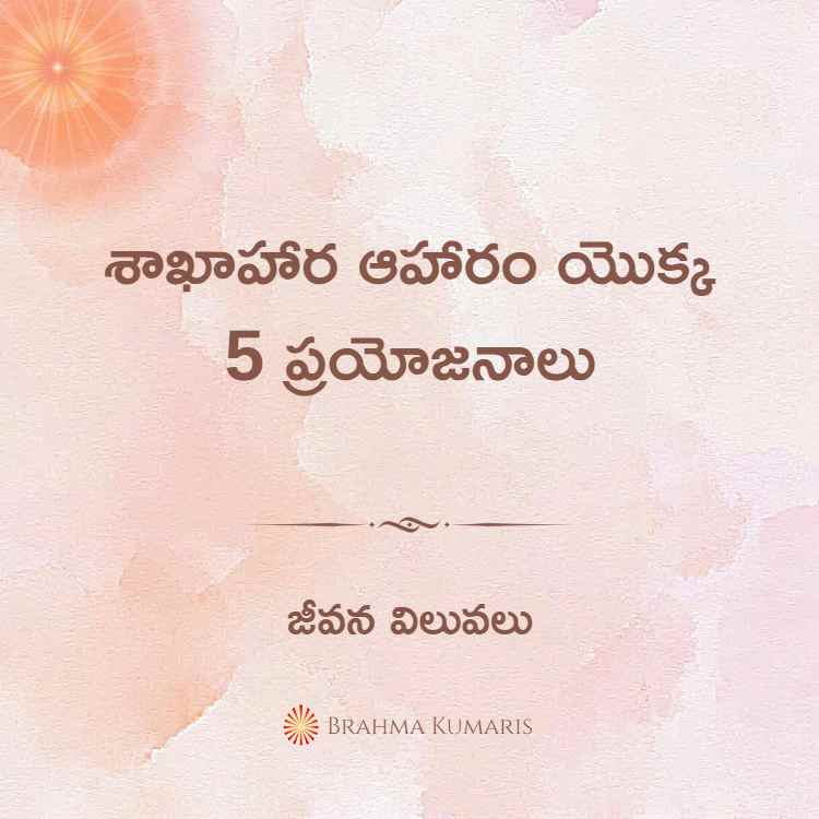 18th april soul sustenance telugu
