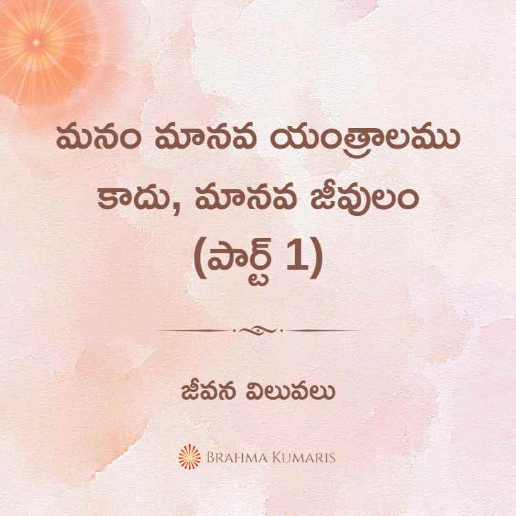 19th april soul sustenance telugu
