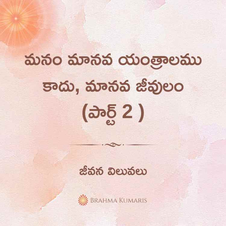 20th april soul sustenance telugu