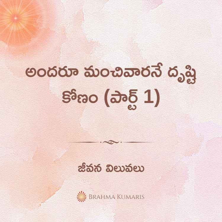 అందరూ మంచివారనే దృష్టి కోణం (పార్ట్ 1)