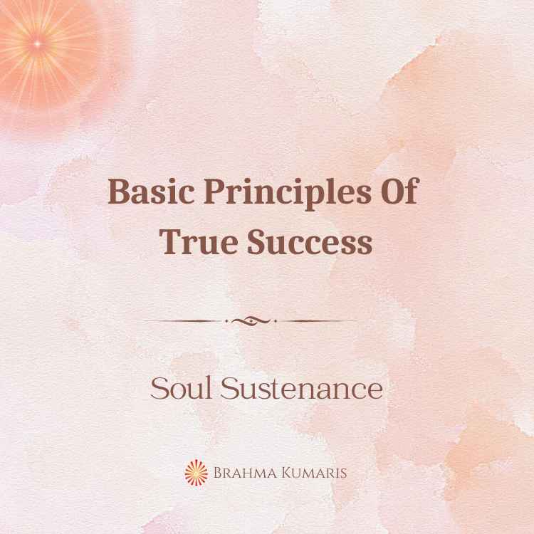 Basic principles of true success