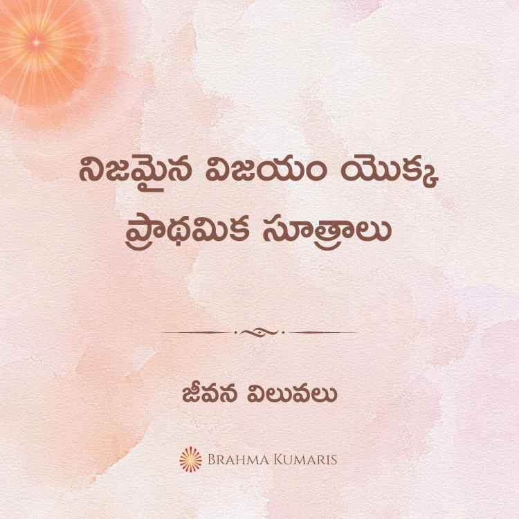 నిజమైన విజయం యొక్క ప్రాథమిక సూత్రాలు