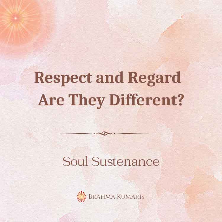 Respect and regard - are they different?