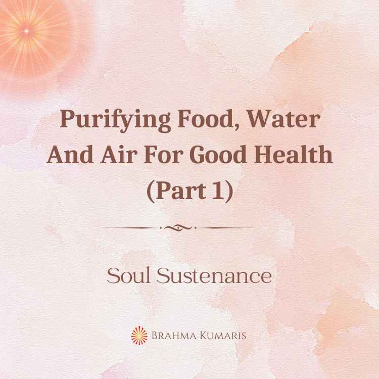 Purifying food, water and air for good health (part 1)