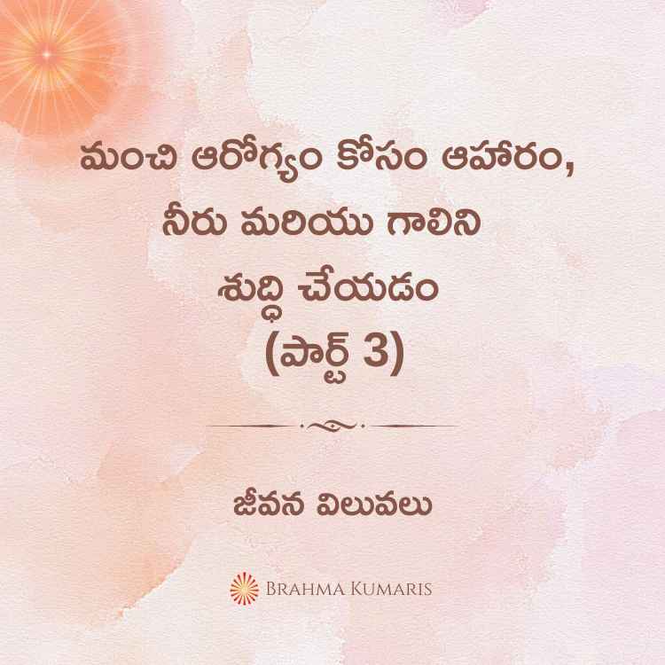 మంచి ఆరోగ్యం కోసం ఆహారం, నీరు మరియు గాలిని శుద్ధి చేయడం (పార్ట్ 3)