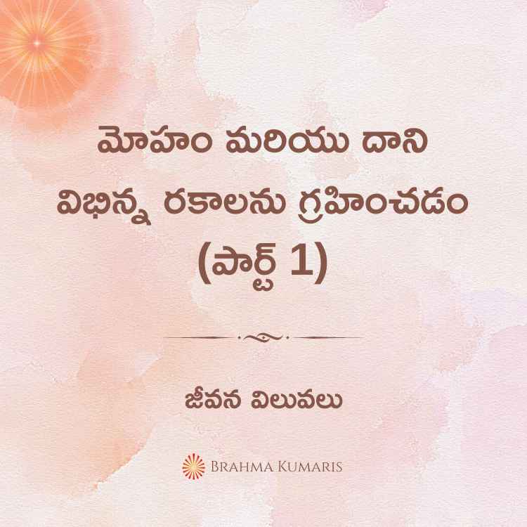 మోహం మరియు దాని విభిన్న రకాలను గ్రహించడం (పార్ట్ 1)