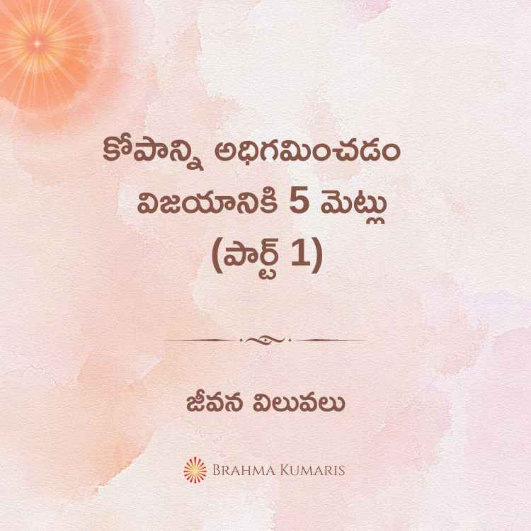 కోపాన్ని అధిగమించడం - విజయానికి 5 మెట్లు (పార్ట్ 1)
