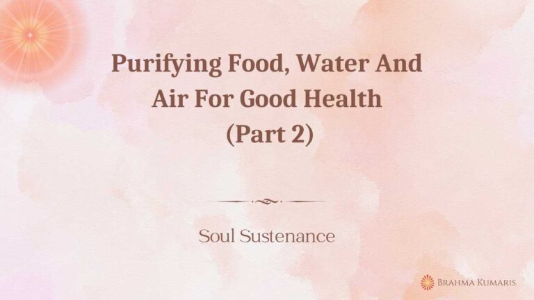 Purifying food, water and air for good health (part 2)