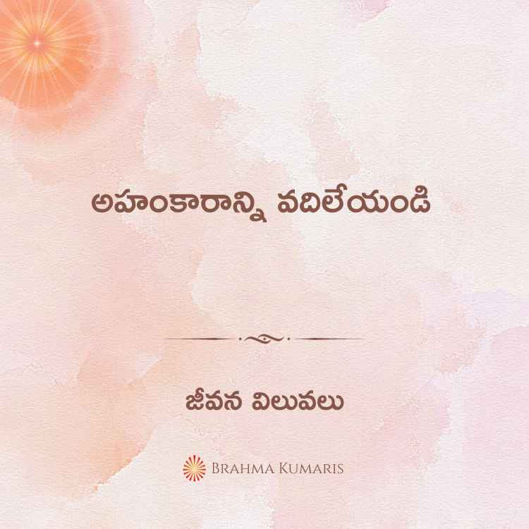 అహంకారాన్ని వదిలేయండి